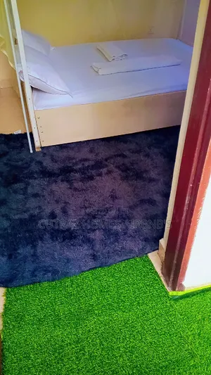 Executive One Bedroom With Extra Mattress