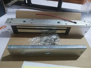 Magnetic Lock for Door