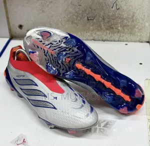 Silver /Blue the Adidas Predator Accuracy+ Laceless FG Size 40-45