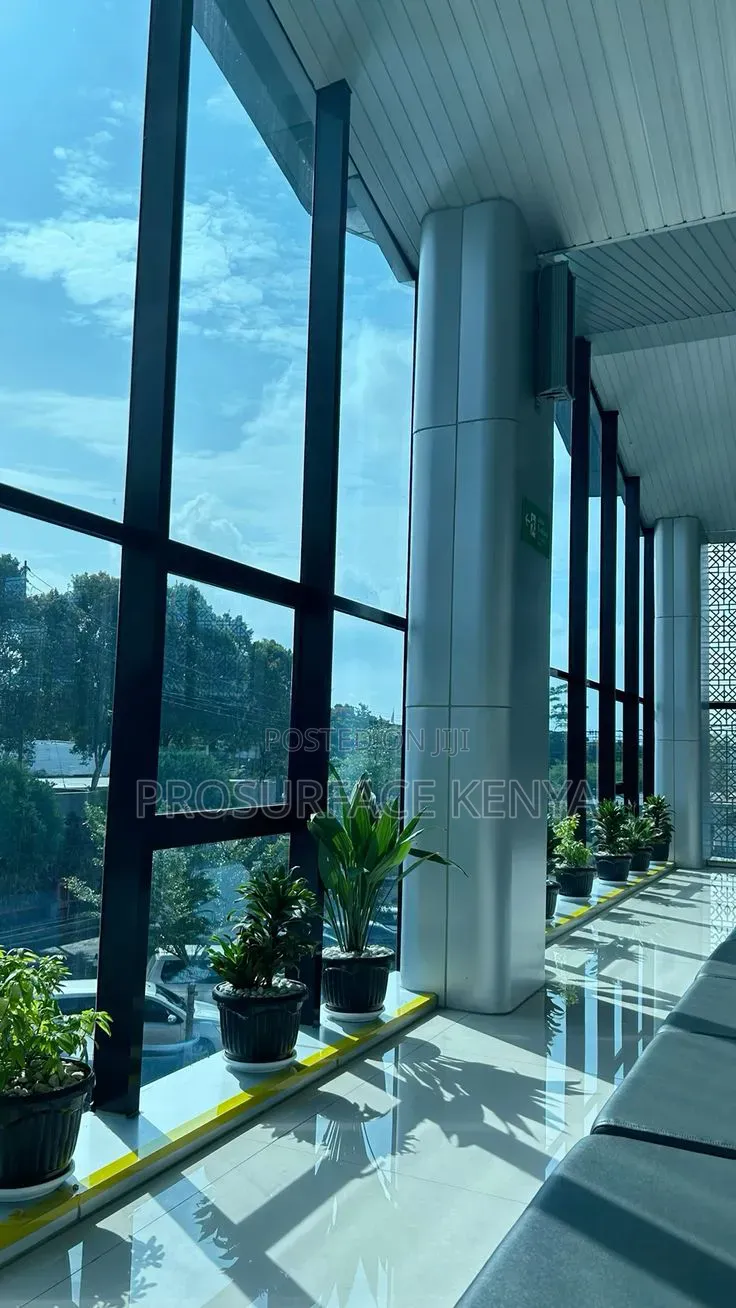 Best One Way Window Film – Privacy Style