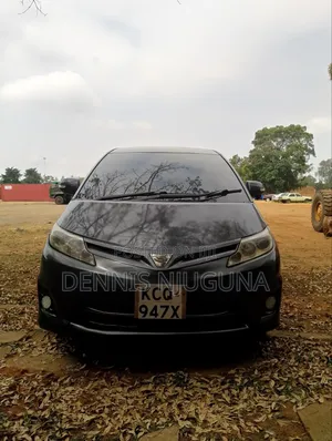 Toyota Estima 2010 Gray