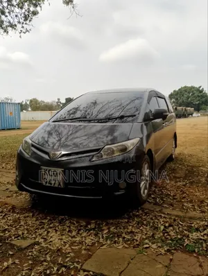 Toyota Estima 2010 Gray