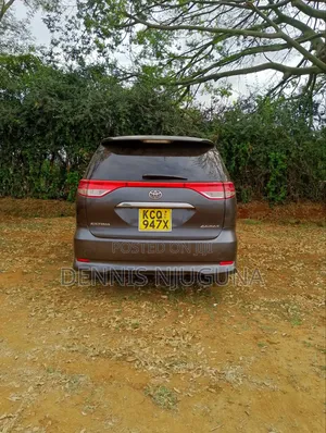 Toyota Estima 2010 Gray