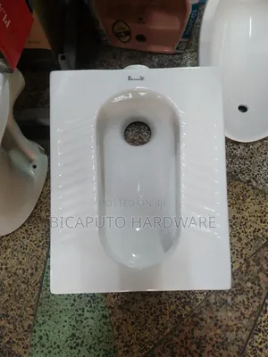 Step Asian Toilet White