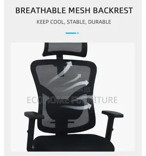 Office Chair: High-Back Ergonomic Office Chair