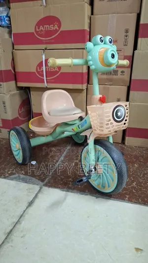 Tricycle With Music for Babies