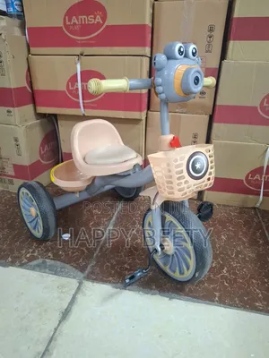 Tricycle With Music for Babies