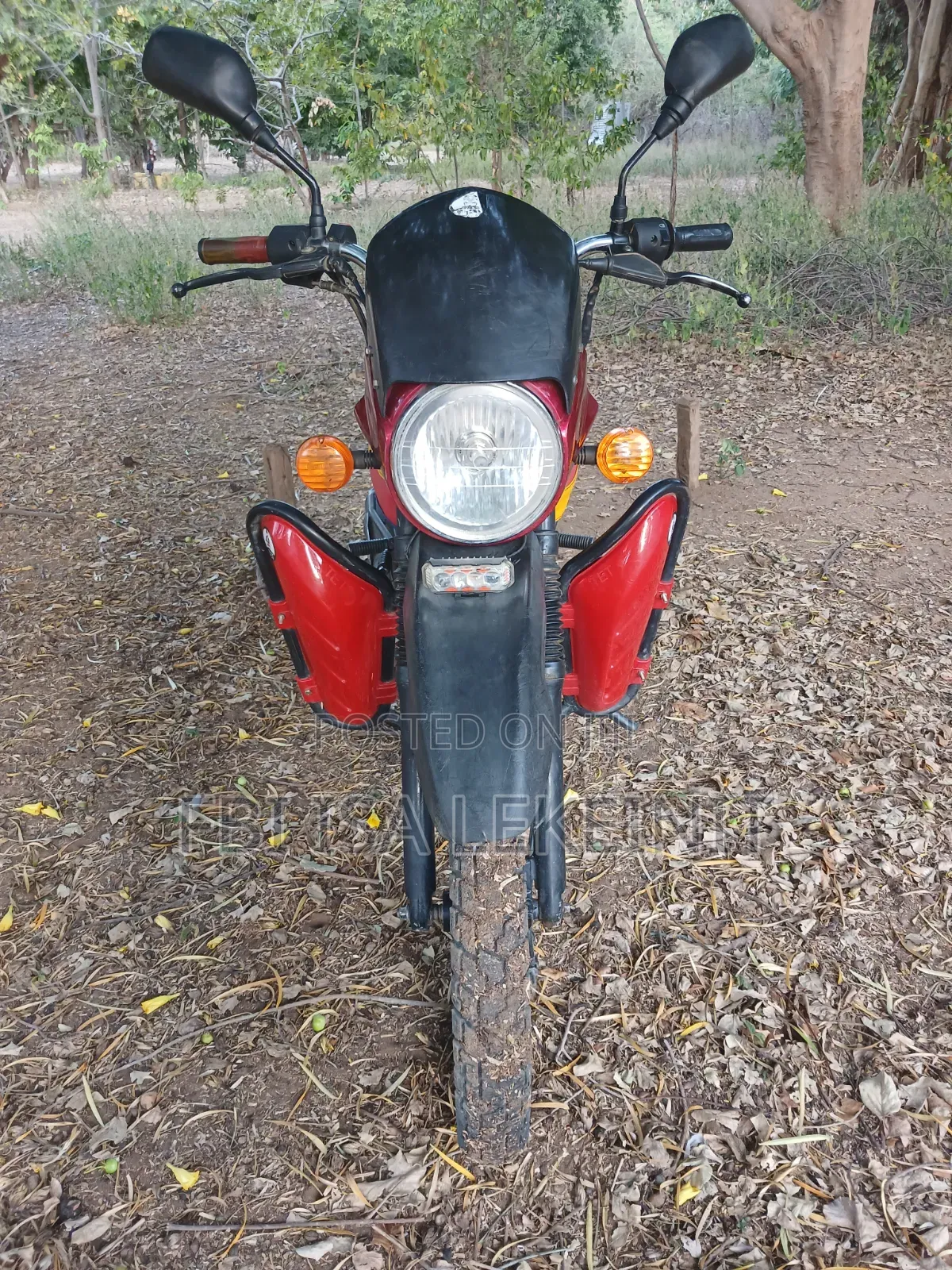 Bajaj Boxer 2019 Green