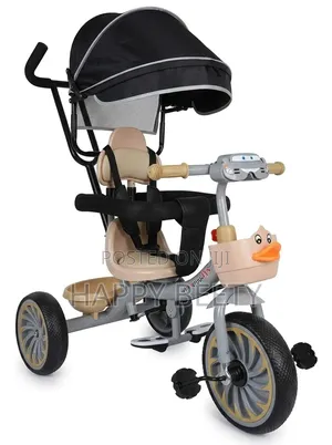Musical Tricycle With Canopy Protective Gear Front Basket