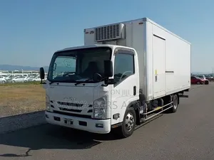 Isuzu Elf 2019