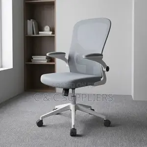 Modern Study Mesh Chair.