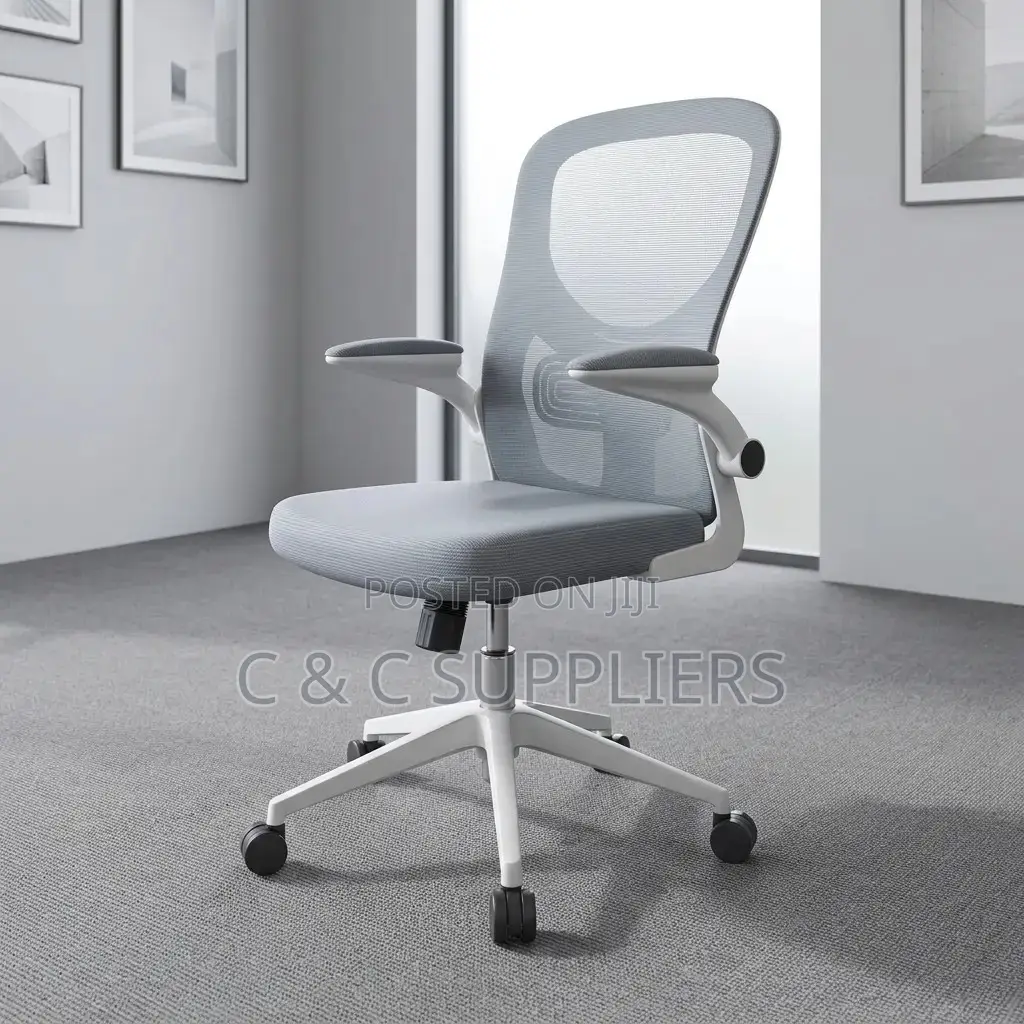 Modern Study Mesh Chair.