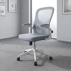 Modern Study Mesh Chair.