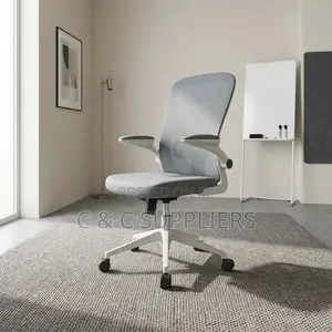 Modern Study Mesh Chair.
