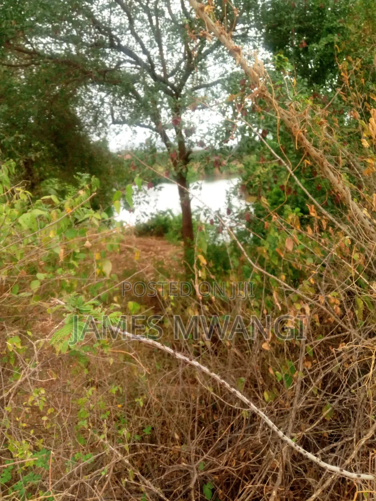 Riverside Farm for Sale