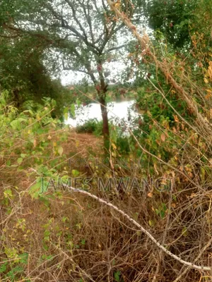 Riverside Farm for Sale