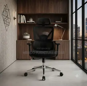 Office Chairs; Orthopedic Mesh Lawee Chair