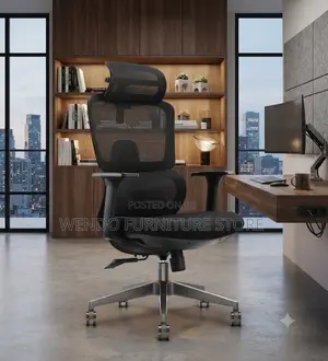 Office Chairs; Orthopedic Mesh Lawee Chair