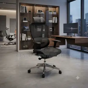 Office Chairs; Orthopedic Mesh Lawee Chair