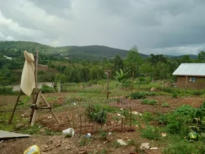Developed Land