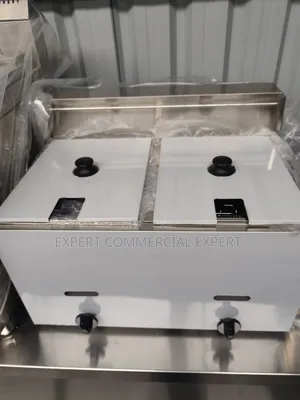 Commercial Fryer Gas
