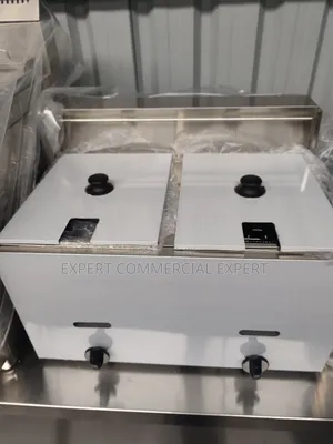 Commercial Fryer Gas