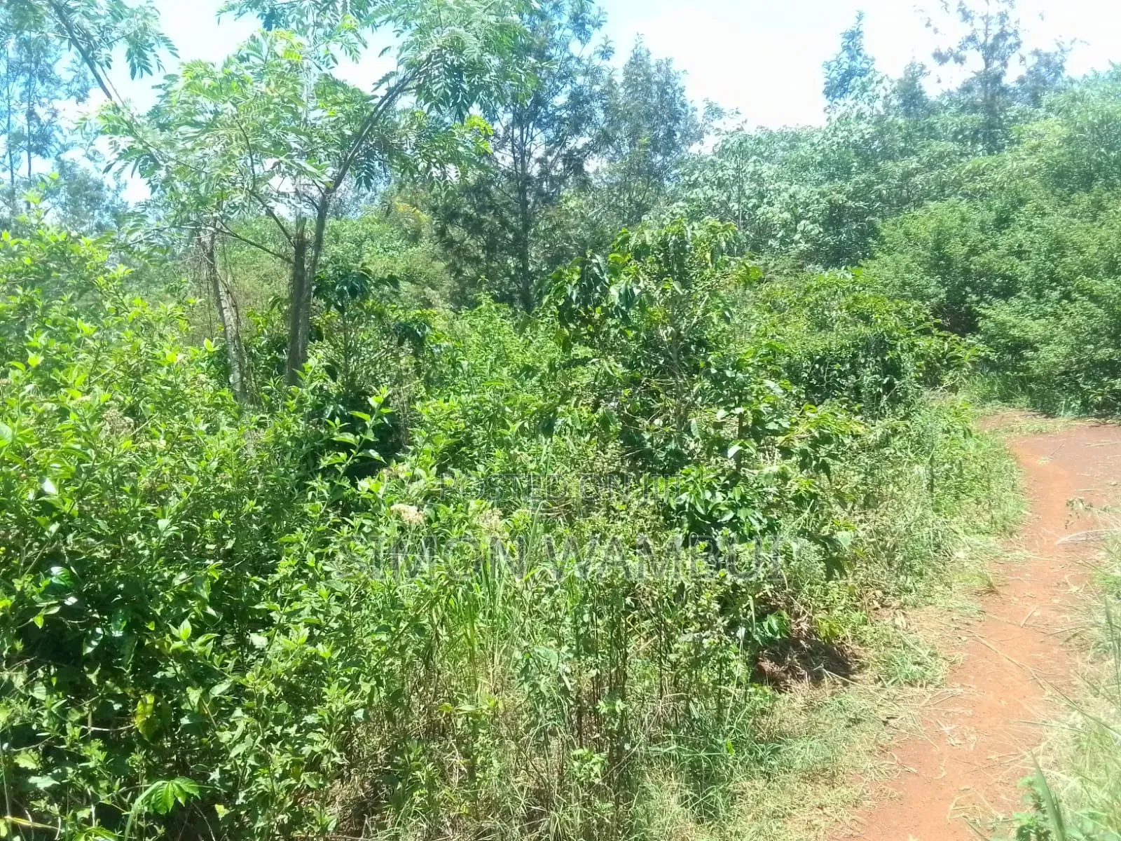 2 Acres for Sale in Murang'a County, Kenol.