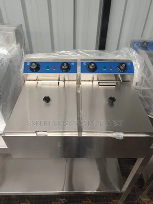 Electric Gas Fyer Commercial