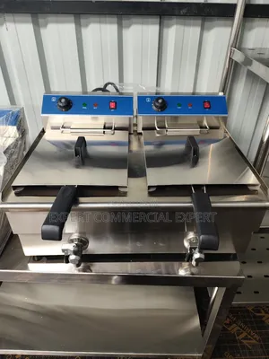 Electric Commercial Fryer