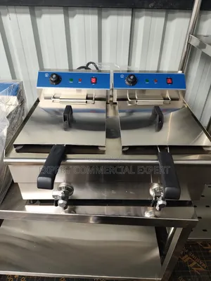 Electric Commercial Fryer