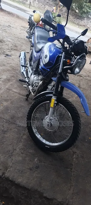 Yamaha YBR 2019 Blue