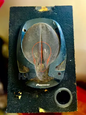 Pioneer Midrange,Tweeters, Sony Radio and Equalizer