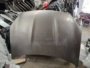 Mitsubishi Pajero V98 2015 Model Side Mirrors Indicator Type