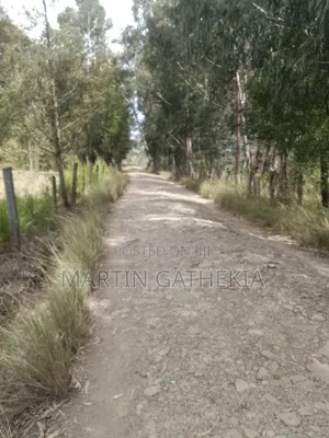 Lake Oloborosat Hidden Gem
