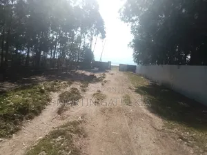 Lake Oloborosat Hidden Gem