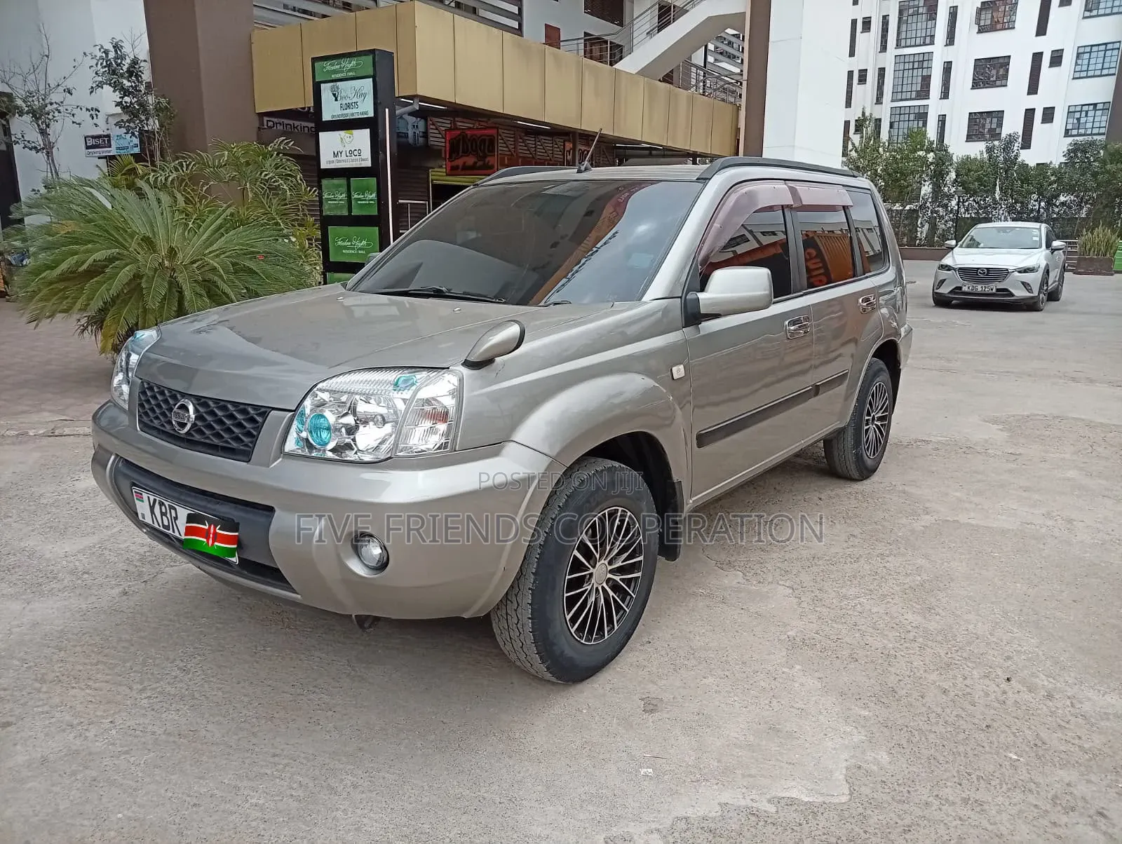 Nissan X-Trail 2005 Gray
