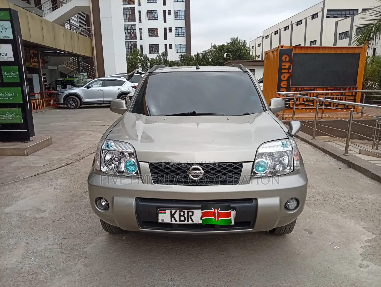Nissan X-Trail 2005 Gray