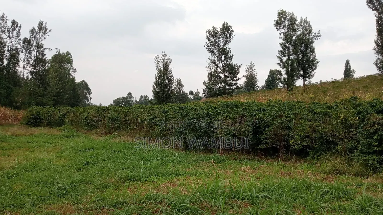 Selling a Prime 50*100 Plot in Kenol Kimorori Ward Murang'a County.