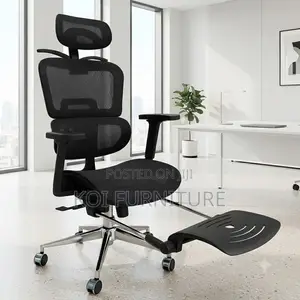 Office Chairs; Orthopedic Recliner Office Lamireen Chair