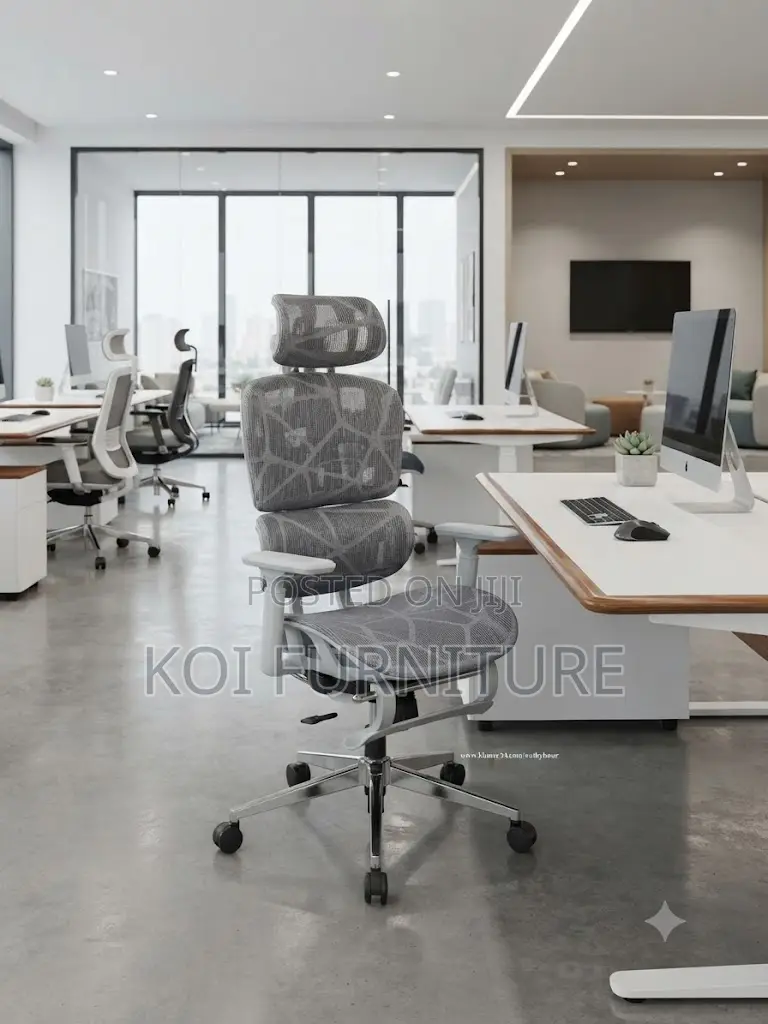 Office Chairs; Orthopedic Recliner Office Lamireen Chair