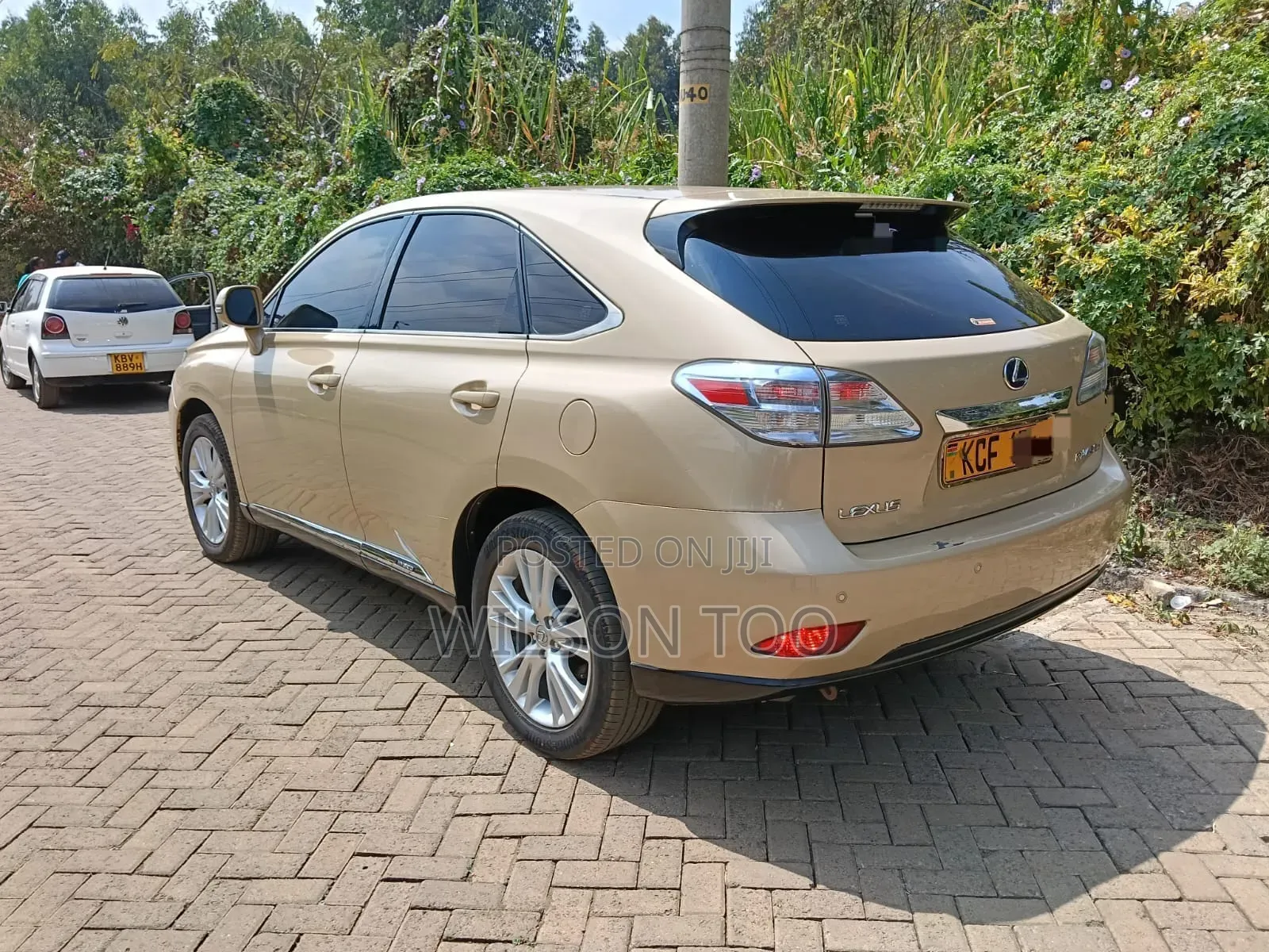 Lexus RX 2009 Gold
