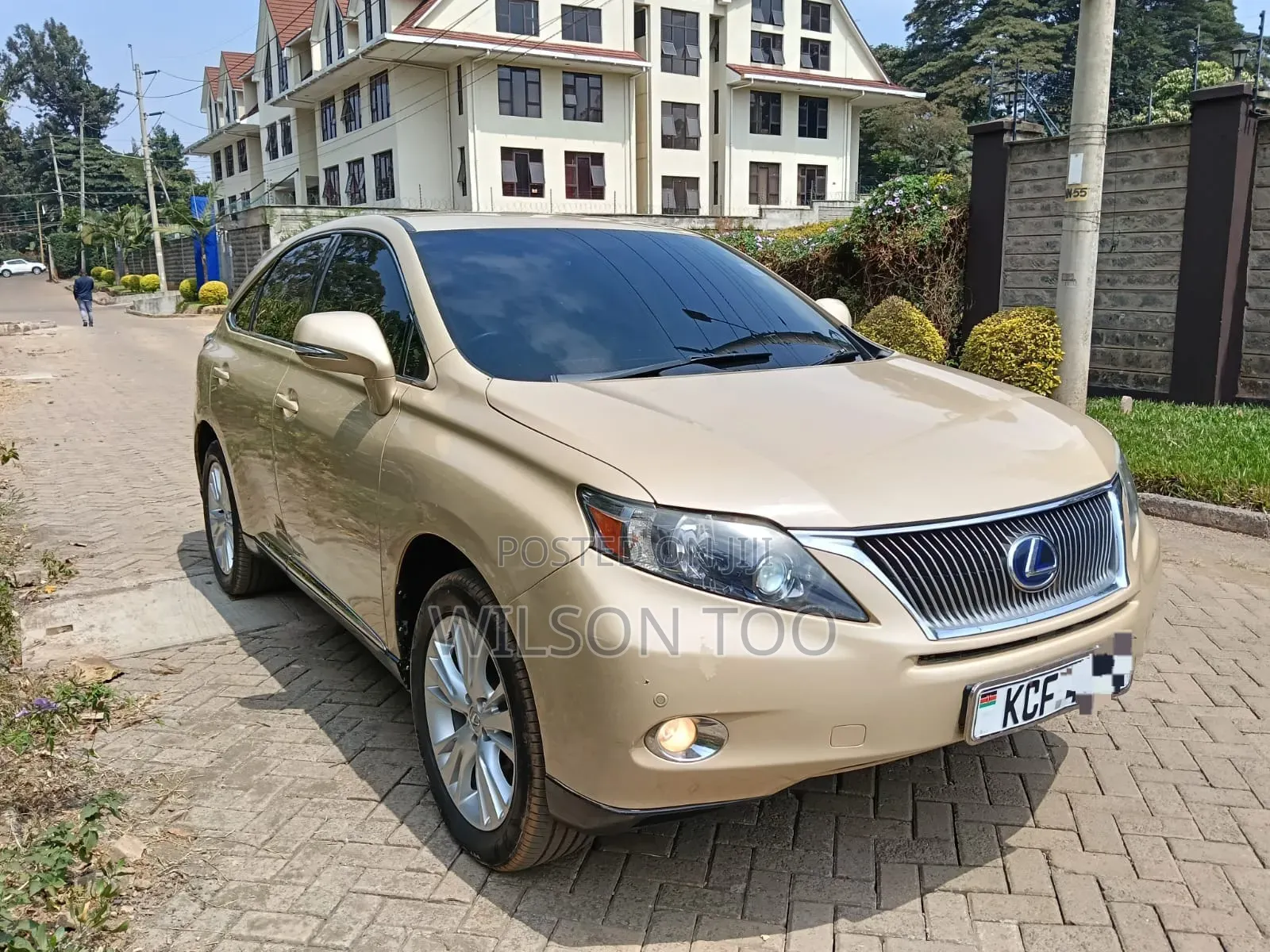 Lexus RX 2009 Gold