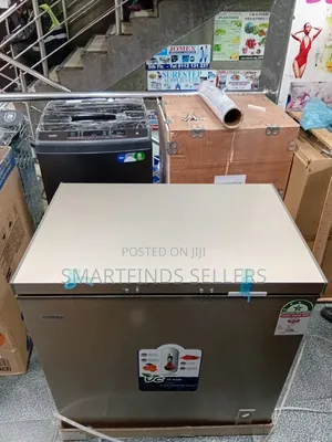 Ecomax 219L Chest Freezer – Reliable Cooling for Home Business