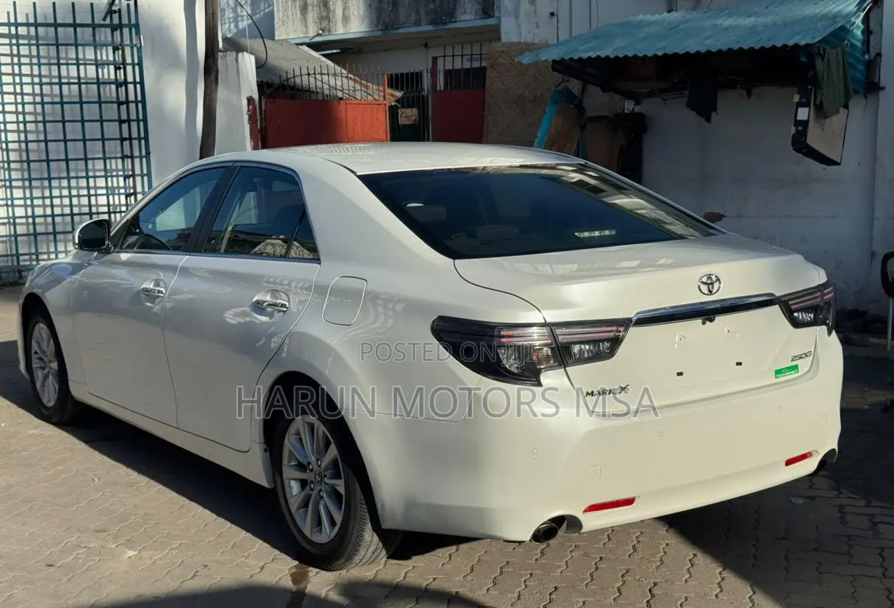 Toyota Mark X 2019 White