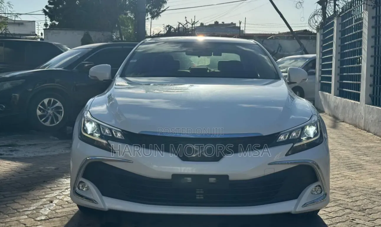Toyota Mark X 2019 White