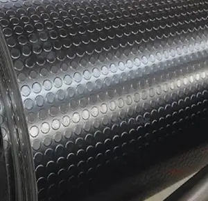 Strong Non-Slip Coin Carpets in Stock – Tsavo Road Odeon