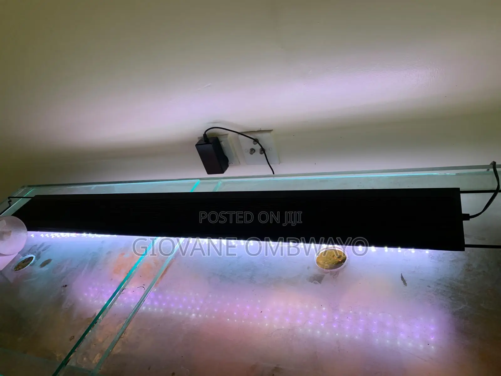 250 Liters Aquarium