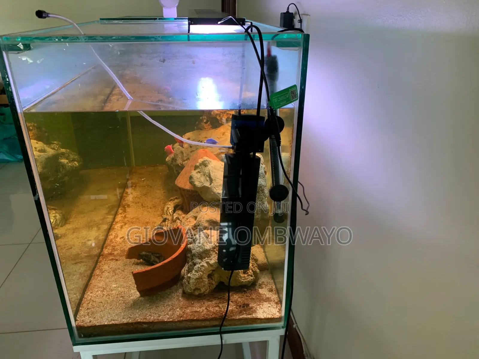250 Liters Aquarium