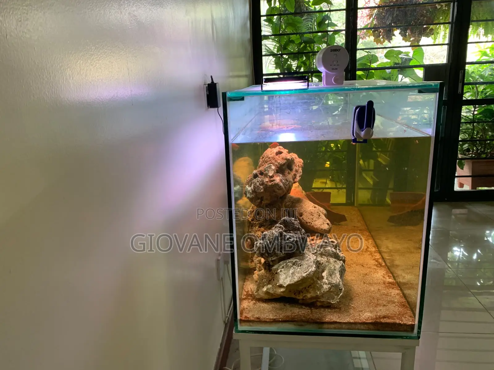 250 Liters Aquarium