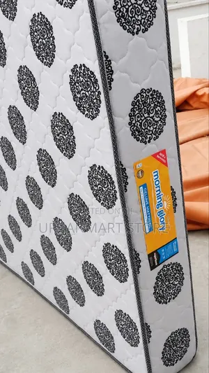 Morning Glory Foam Branded Mattress 10 Inches, 5 by 6 Quilted